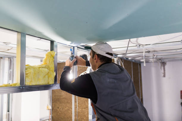 Best Insulation for Specific Applications in Laurel, FL