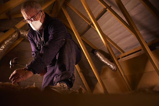 Best Residential Insulation in Laurel, FL